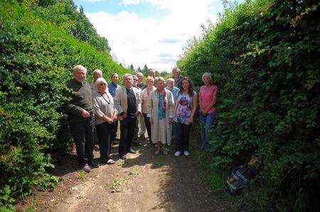 Campaigners by the hedgerow