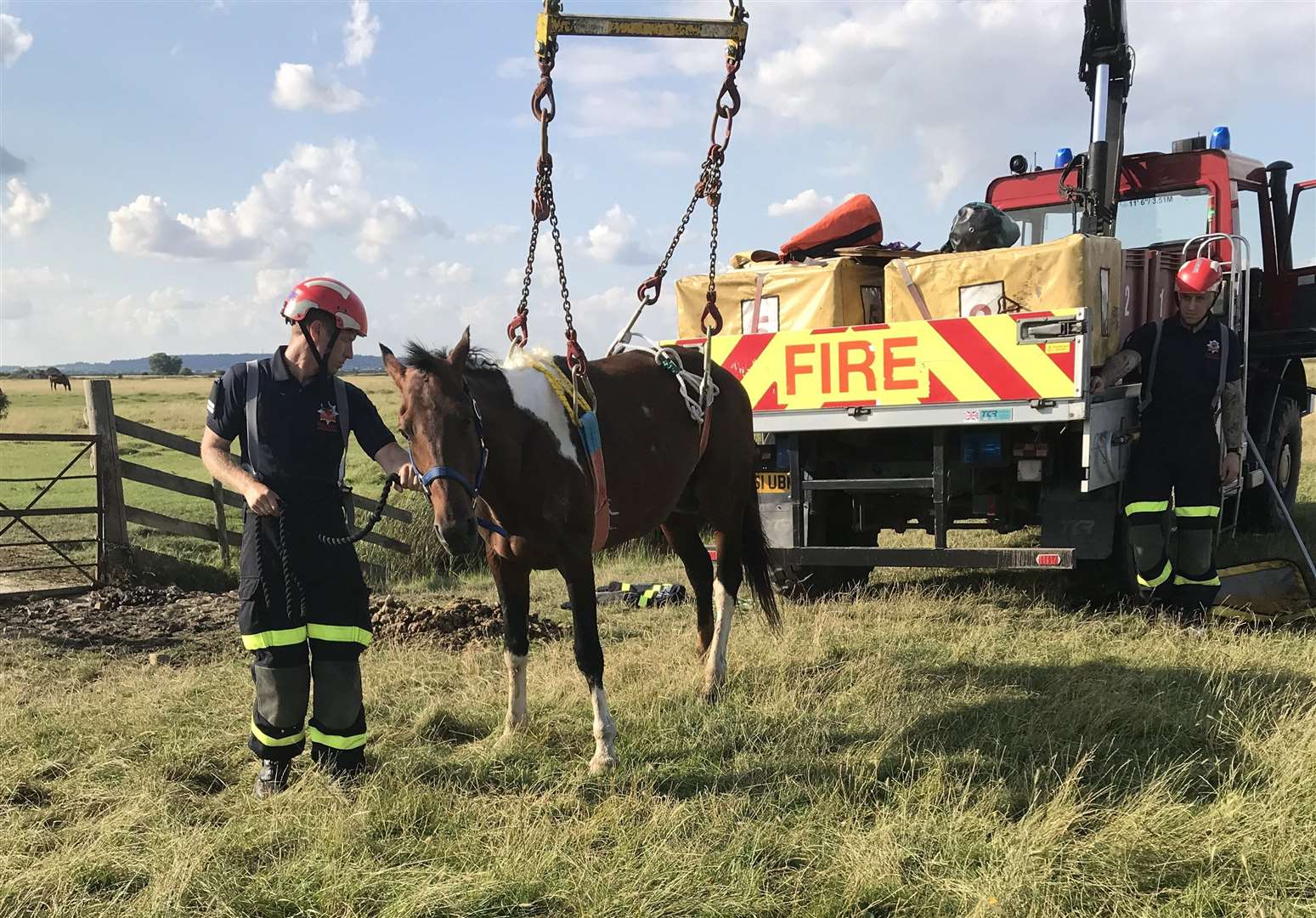 The horse is winched to safety. Image from the RSPCA