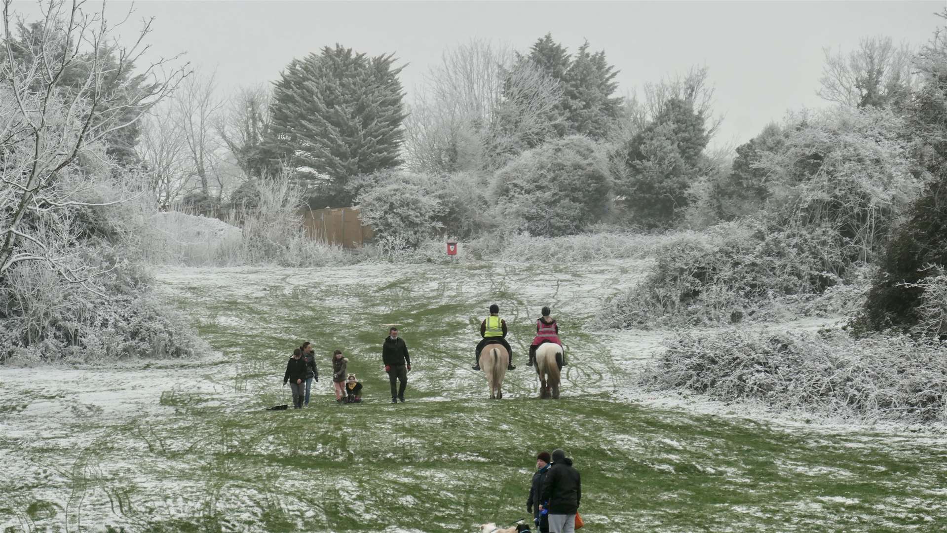 Sunday snow: definitely, says photographer Barry Hollis who took this shot at The Glen, Minster