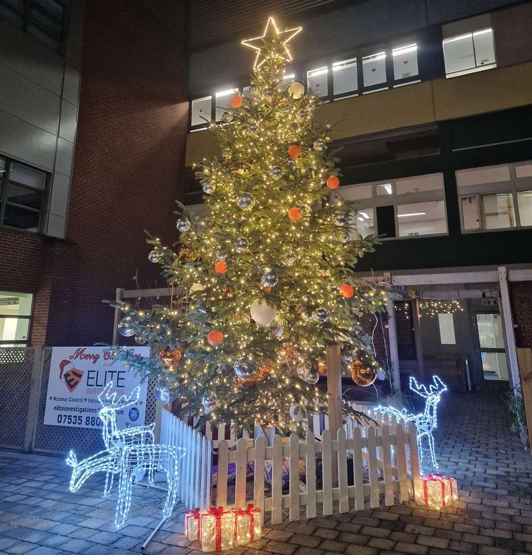 The main tree in Medway Maritime Hospital's courtyard