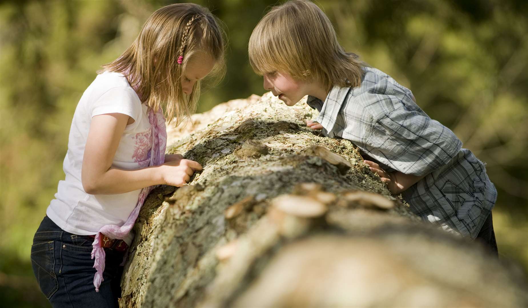 The National Trust has plenty of activities for families throughout the summer