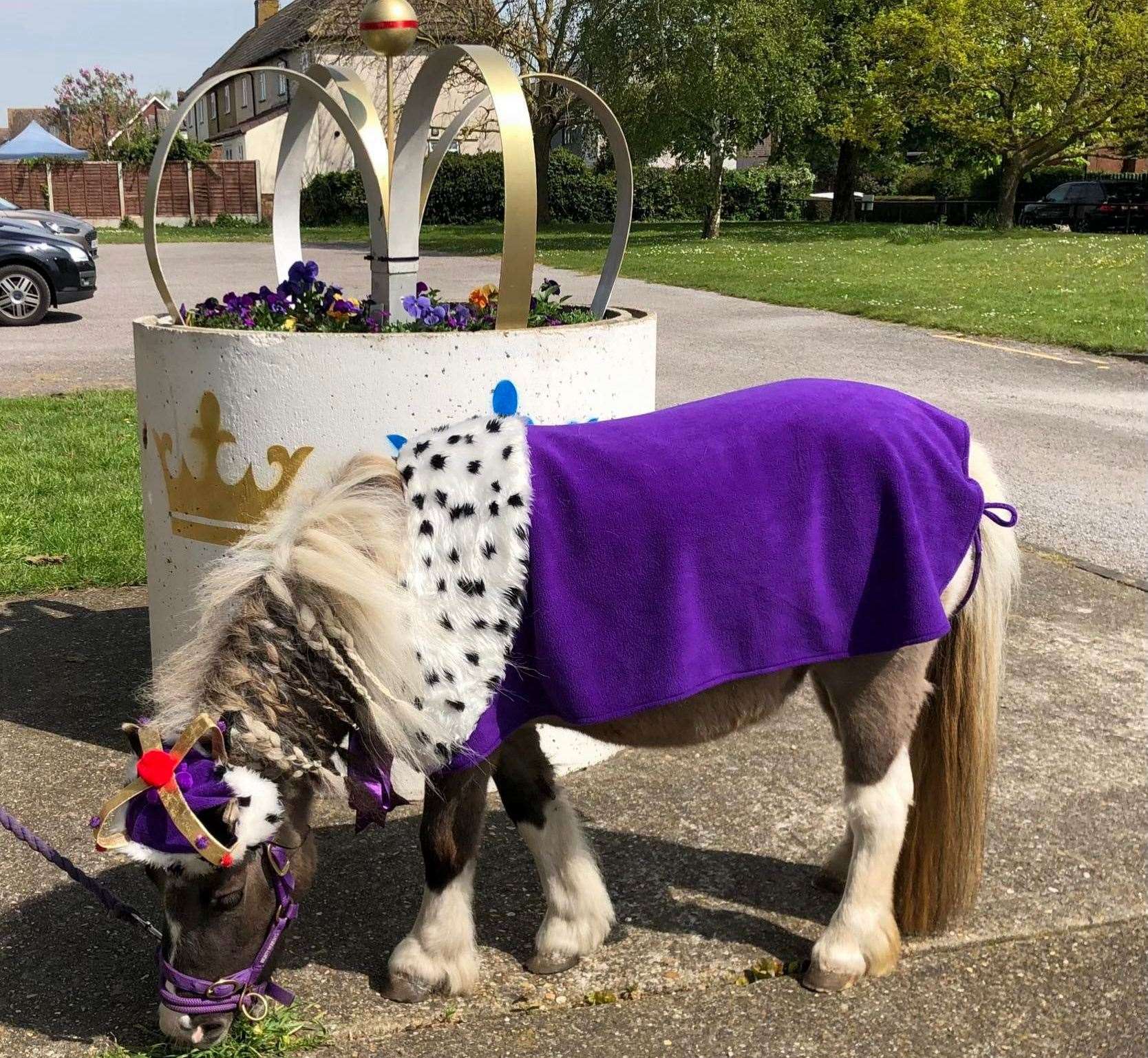 Kizzy is dressed fit for a King. Picture: Nicky Tucker