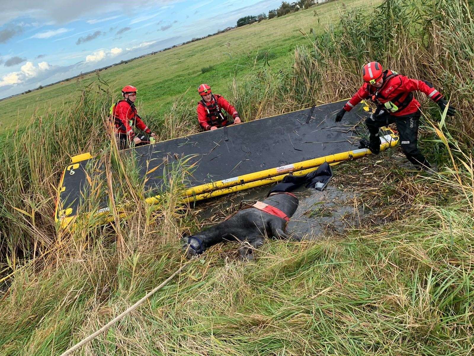 Kent Fire and Rescue Service spent hours rescuing the horse. Photo: KFRS