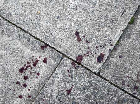 Blood splattered on the pavement where a pupil had been stabbed in Park Avenue