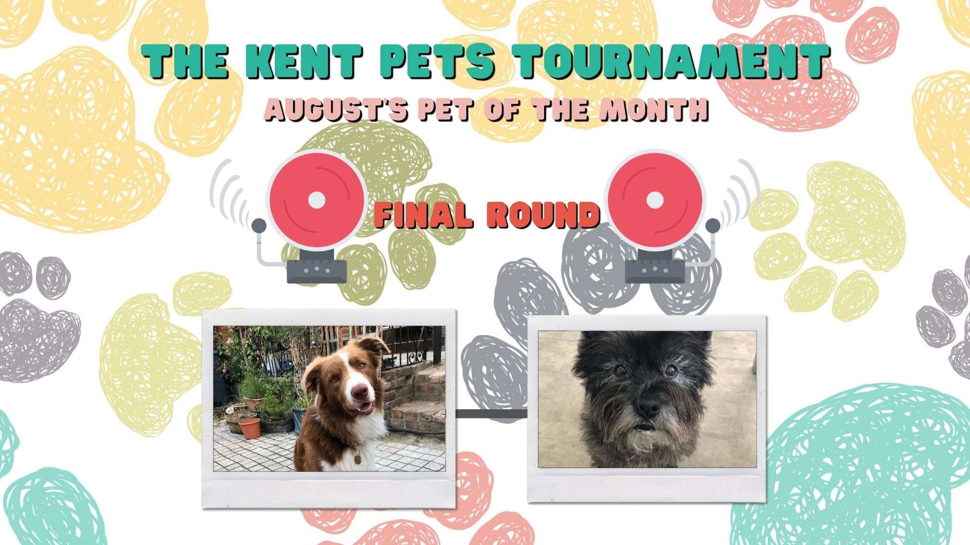 Final round of the August Kent Pets Tournament