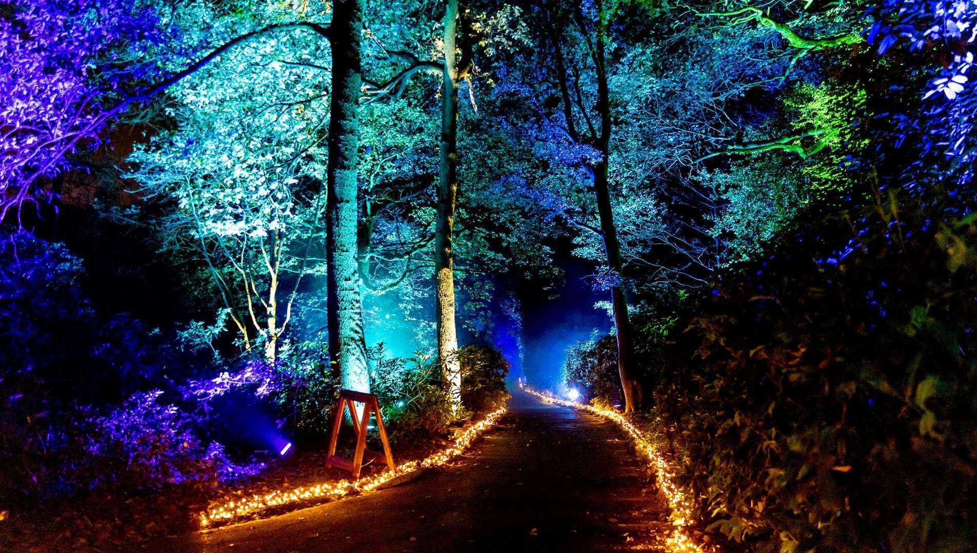 A stunning new light trail is set to transform Walmer Castle this December. Picture: Deacon Communications