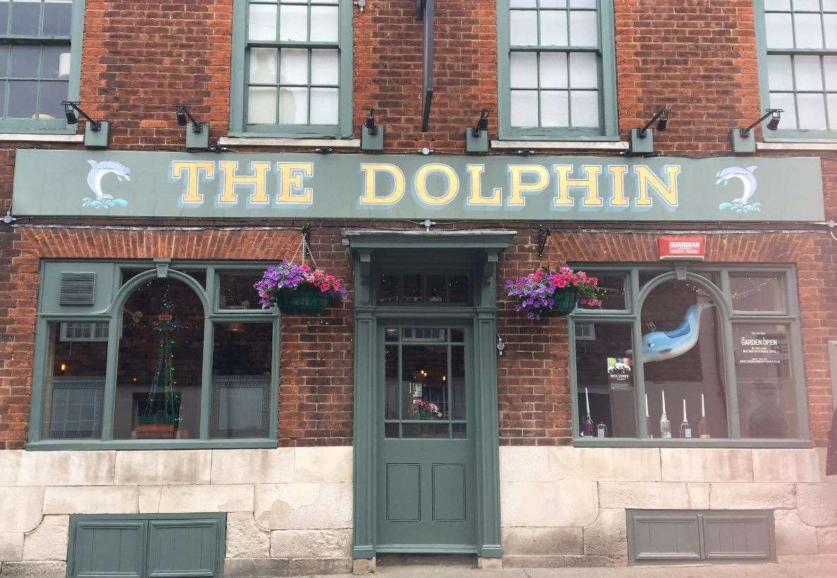 The Dolphin (12337025)