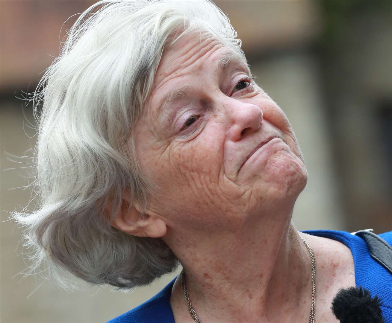 Ann Widdecombe talks to the press in Maidstone Picture: John Westhrop
