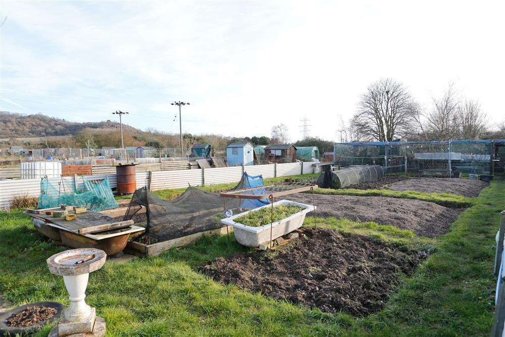 The controversial allotment site
