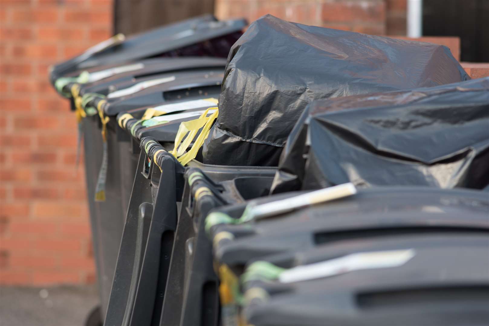 Recent figures from Defra show that the Ashford borough has the highest recycling rate in Kent