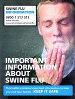 The government's swine flu advice poster