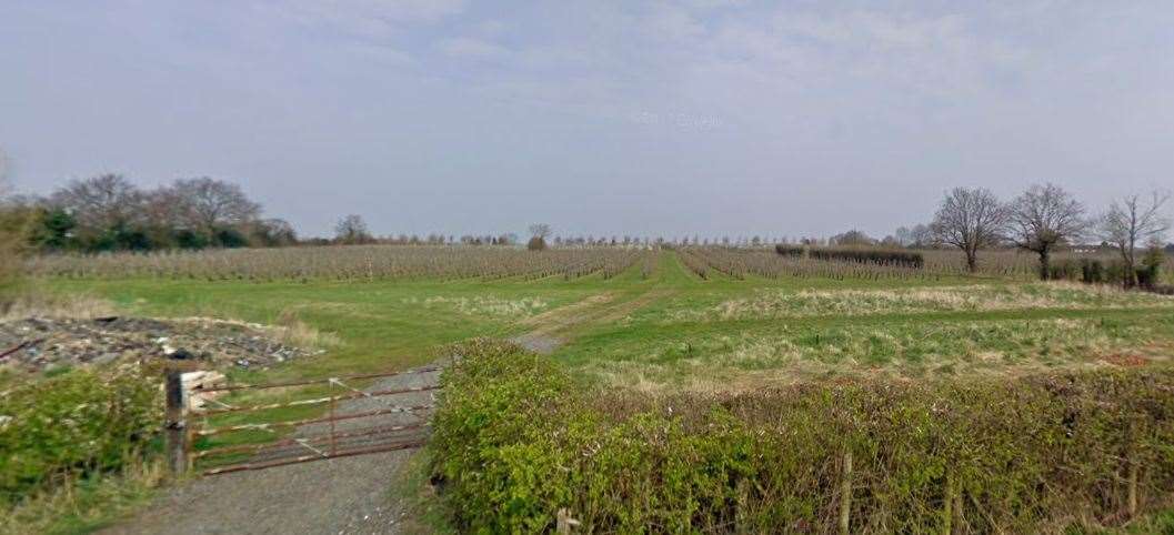 A view of the orchard from Copper Lane. Picture: Google