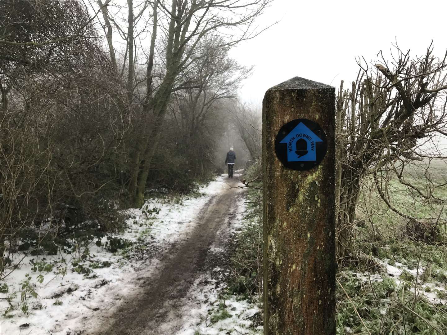 The accident happened on the North Downs Way