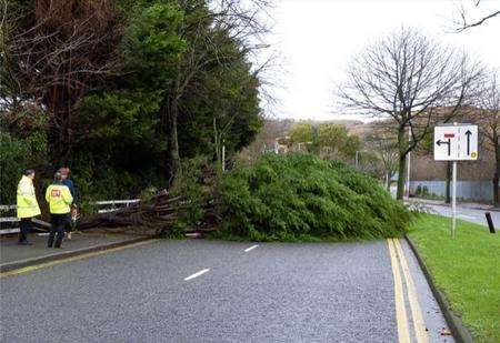 Cherry Garden Avenue, Folkestone, was blocked for several hours by a fallen tree