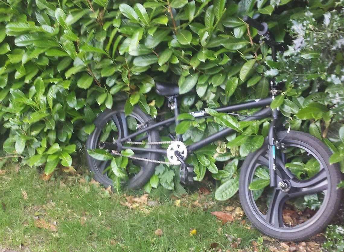 The children spotted the bike in the bushes while out playing Pokémon Go