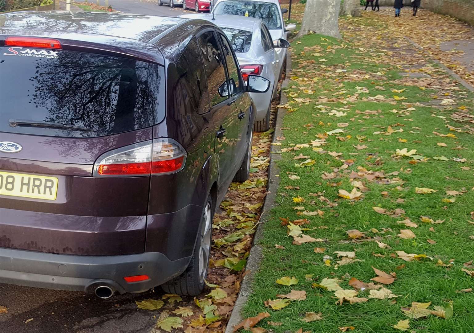 Drivers are avoiding tickets because leaves are part-obscuring the double yellows