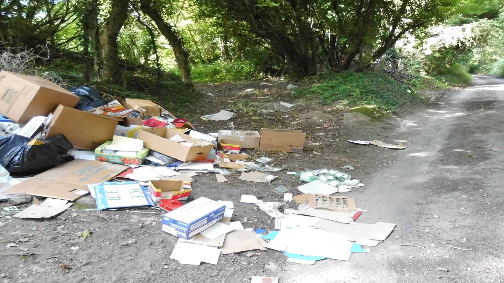 This act of fly-tipping in Crabble Lane in River was reported to Dover District Council on August 1, 2014