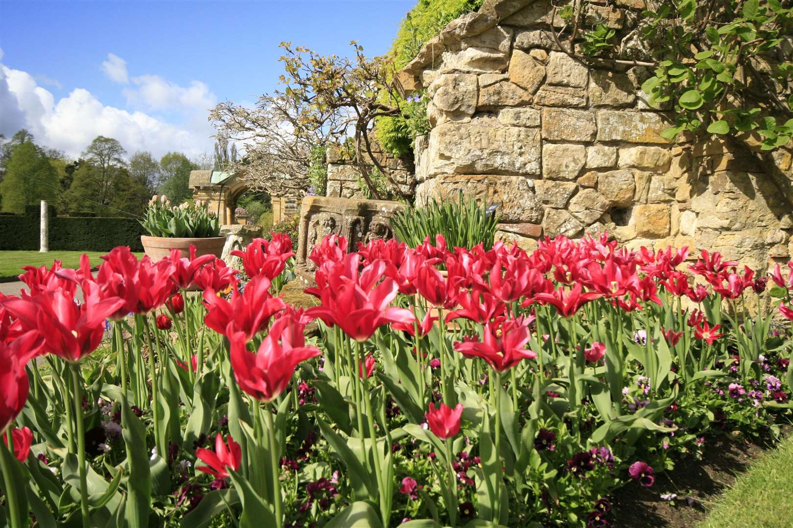 The Tulip Celebrations display at Hever Castle will delight visitors with almost 40,000 colourful tulips Picture: Vikki Rimmer