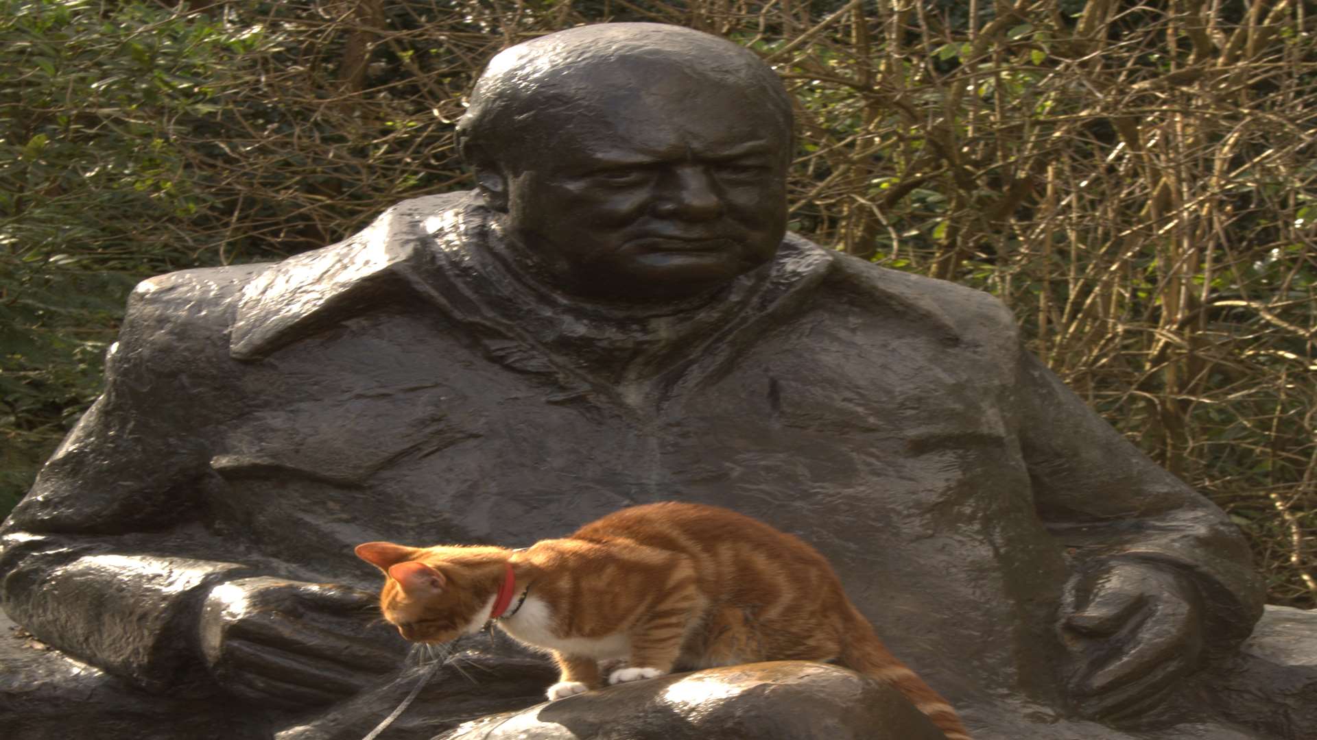 Jock VI on the Churchill Statue at Chartwell. Picture: Iain Carter, National Trust