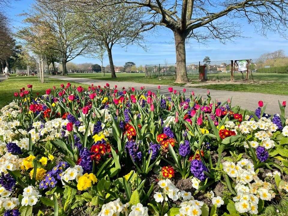 Flowers blooming in Radnor Park, Folkestone, on Good Friday. Picture: Patricia Young