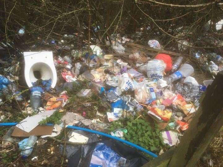 Some of the litter along the A256, cleaned up by Dover District Council over the last week