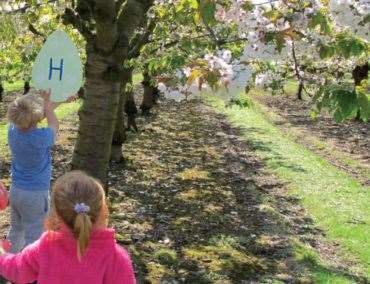The Brogdale Easter Trail takes you through orchards.