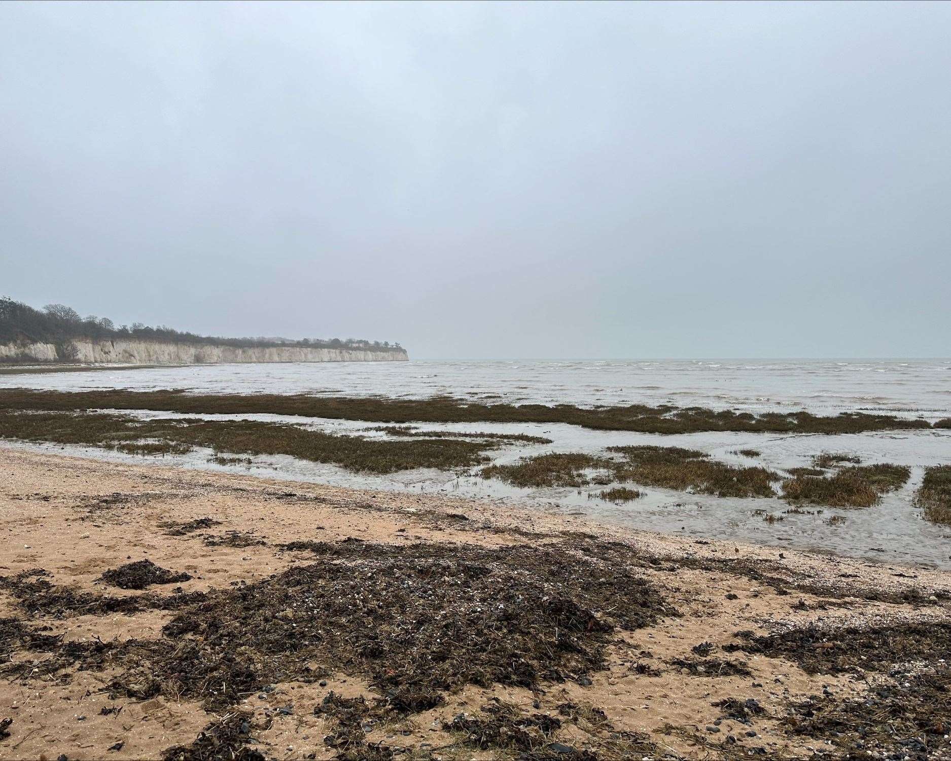 An 'extraordinary’ amount of plastic has washed up on Pegwell Bay. Picture: Kent Wildlife Trust
