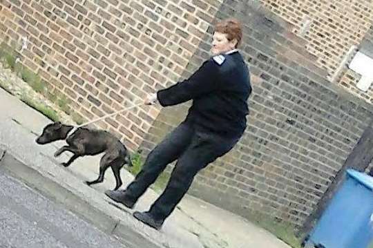 An RSPCA officer takes one of the dogs away from the house