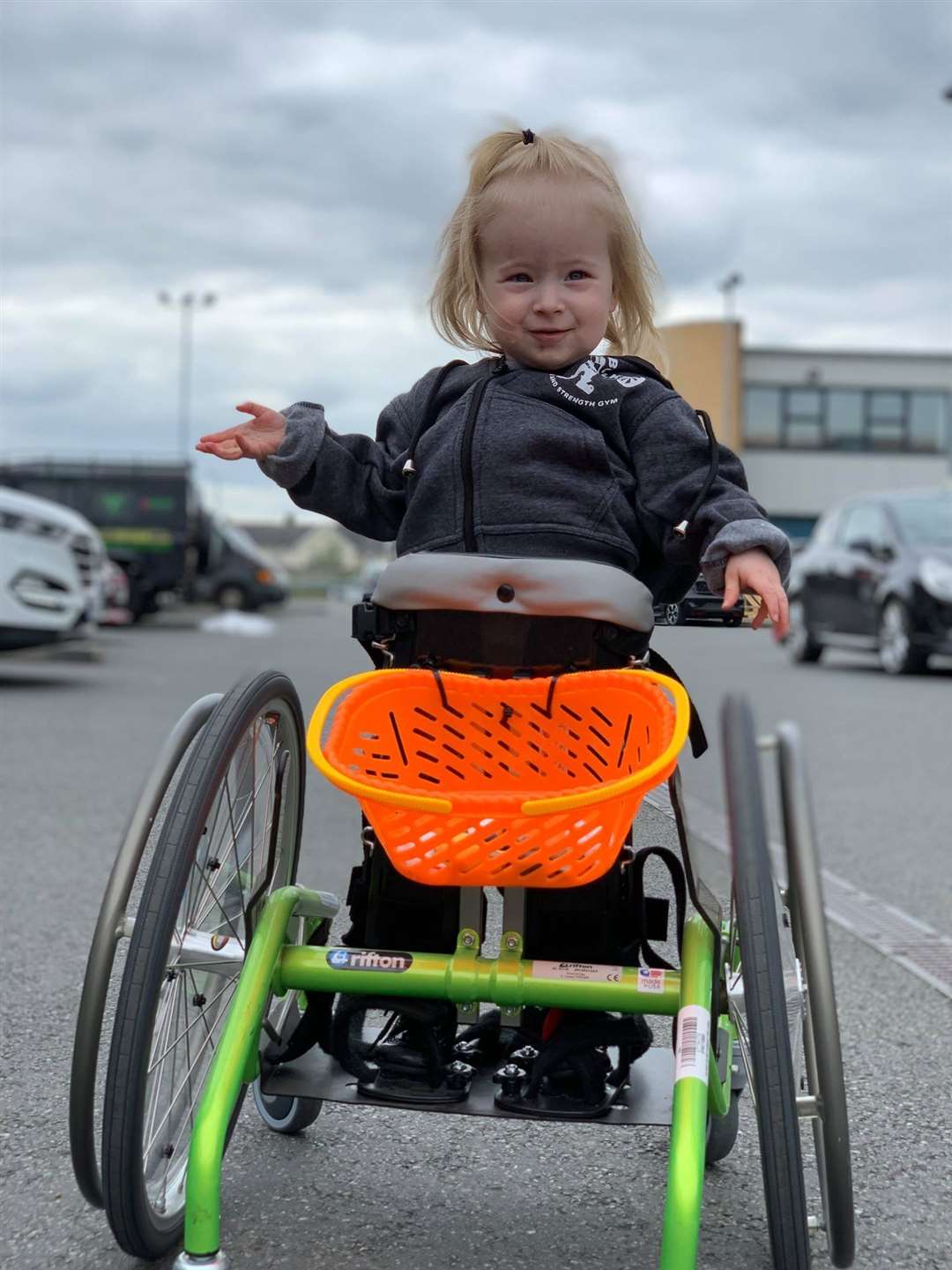 Willow's specialist wheelchair was inside the Land Rover when it was taken