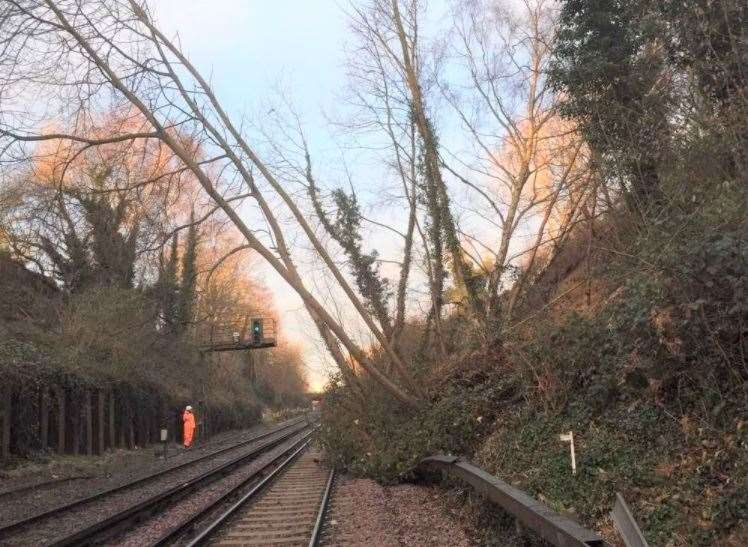 A tree blown onto the track. Stock picture from Network Rail