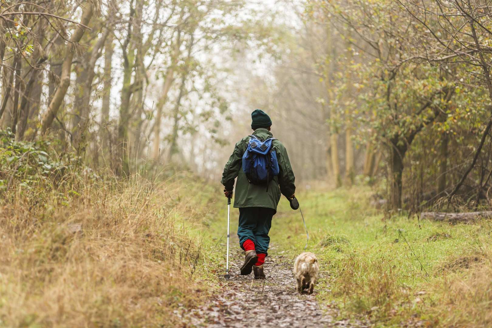 Owners can use their walk with their dog as a moment to connect with their surroundings. Stock picture