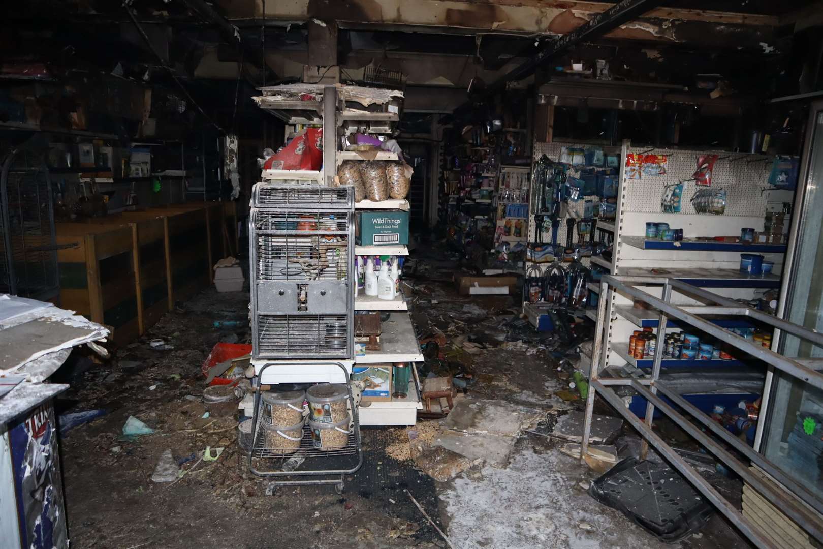 Inside the gutted remains of Cuddles and Bubbles pet shop last year
