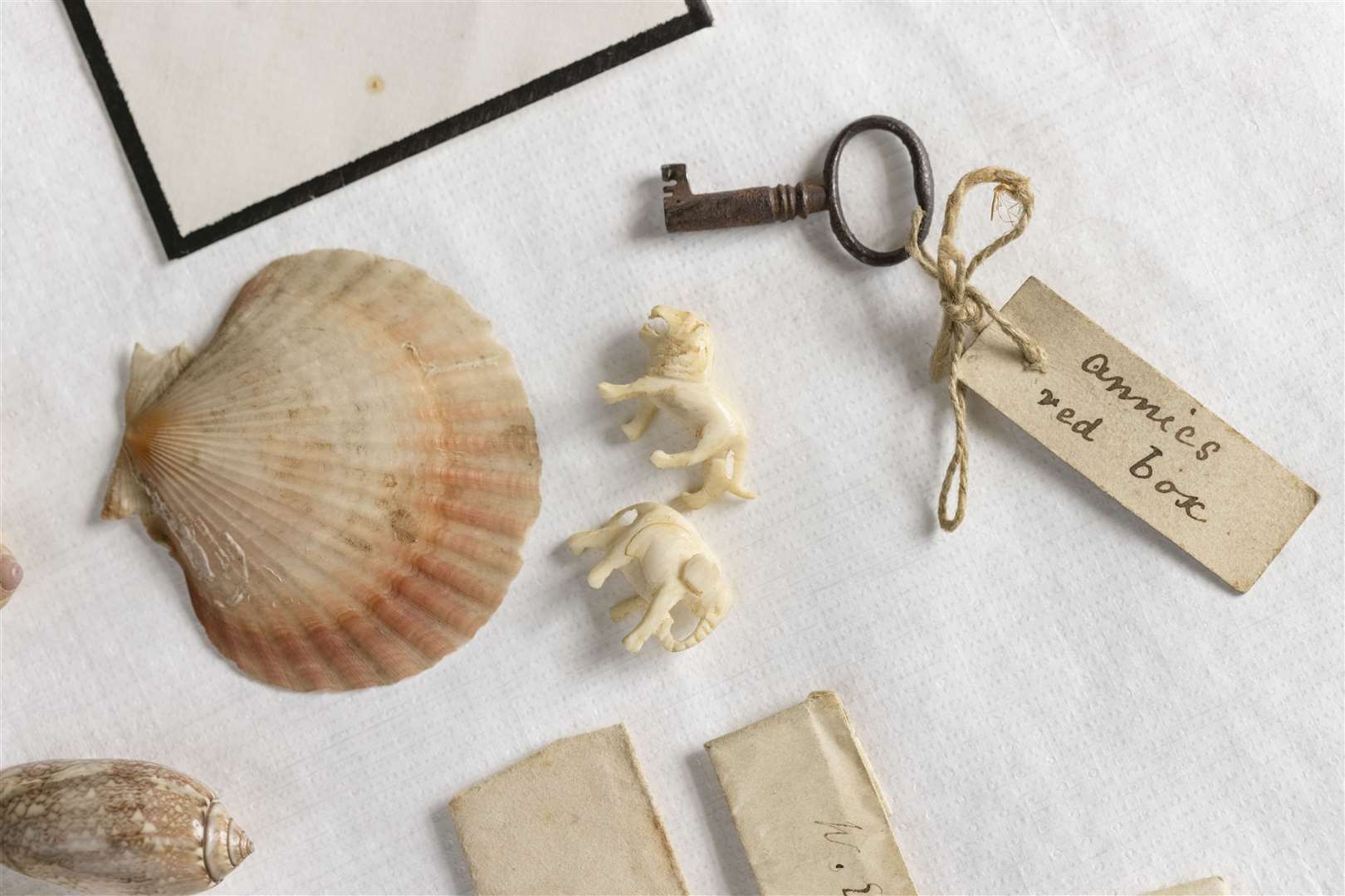 The red leather box and its treasures – which include shells gathered by Darwin on his famous Beagle Voyage – will go on display at the Home of Charles Darwin, Down House, in Kent later in the year Picture: English Heritage