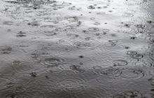 Tuesday's heavy rain falling on the Gore Pond, Bredgar.