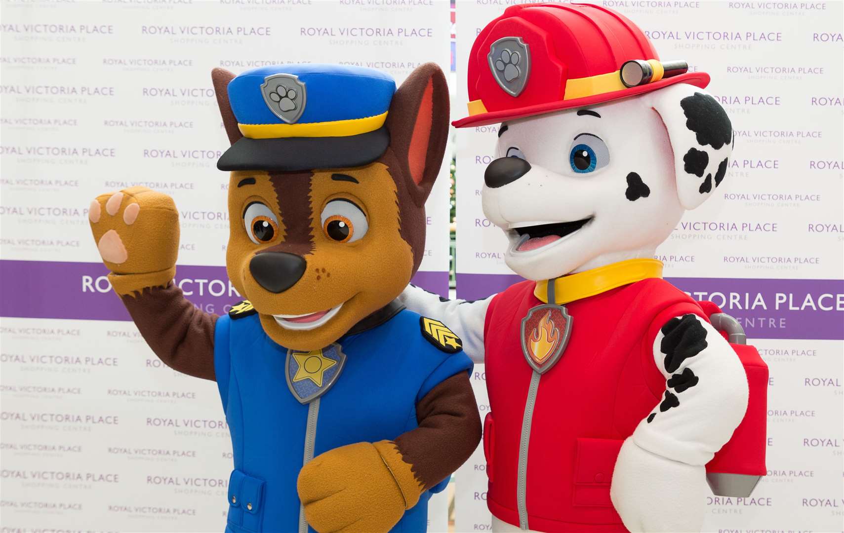 PAW Patrol will be at Royal Victoria Place Picture: David Bartholomew