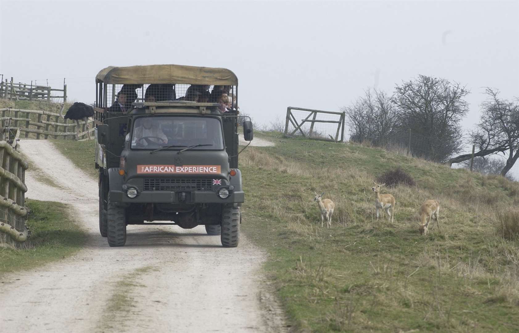 Public footpaths run alongside Port Lympne's 'African Experience', which launched in 2005