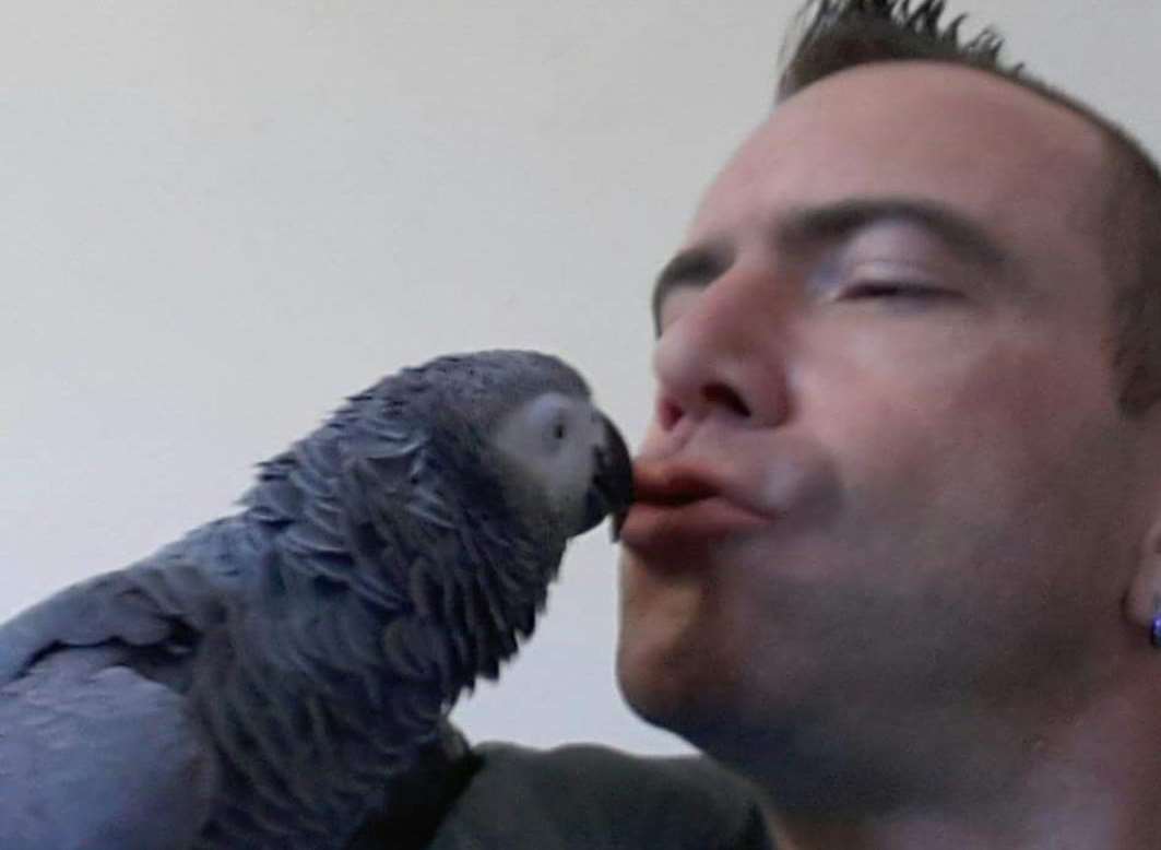 Glenn Shelton is devastated after the death of his parrot Jack