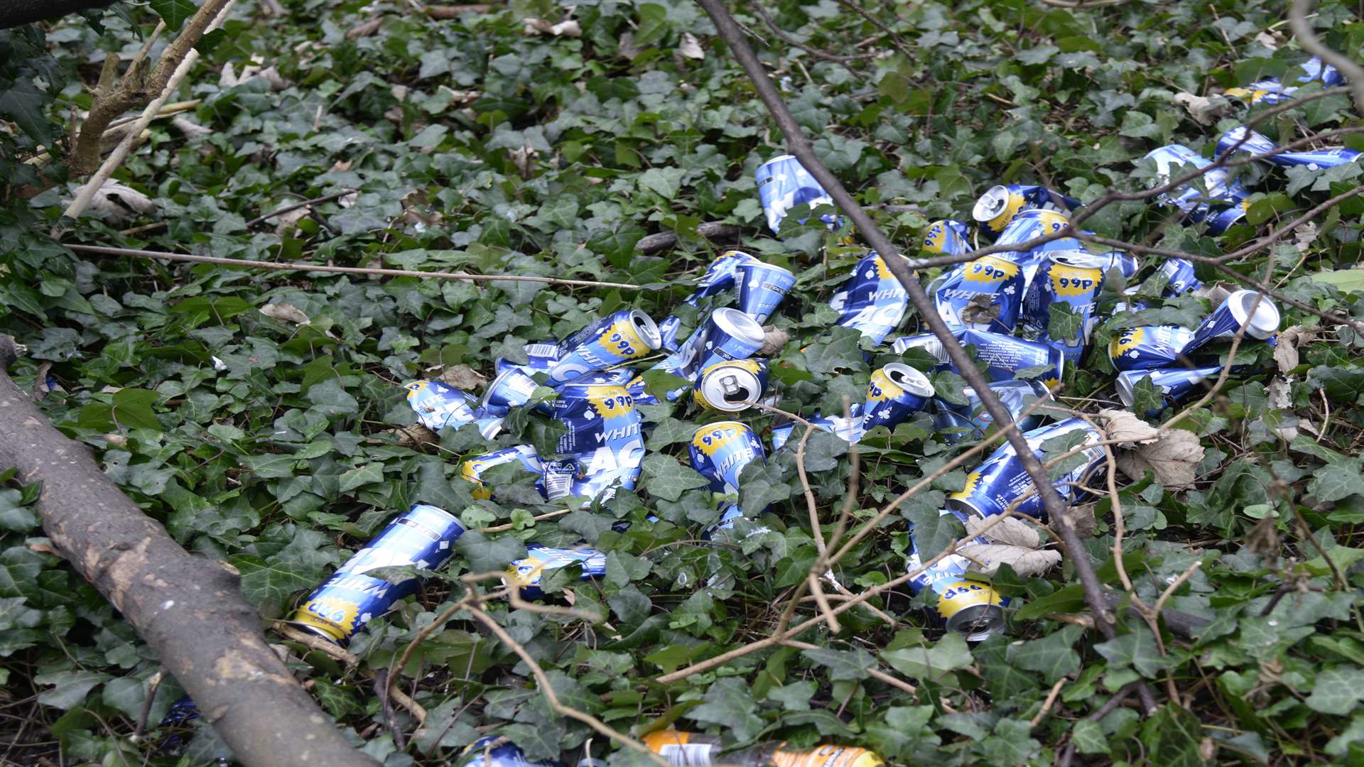 Empty drink cans have been strewn in Bysing Wood, Faversham