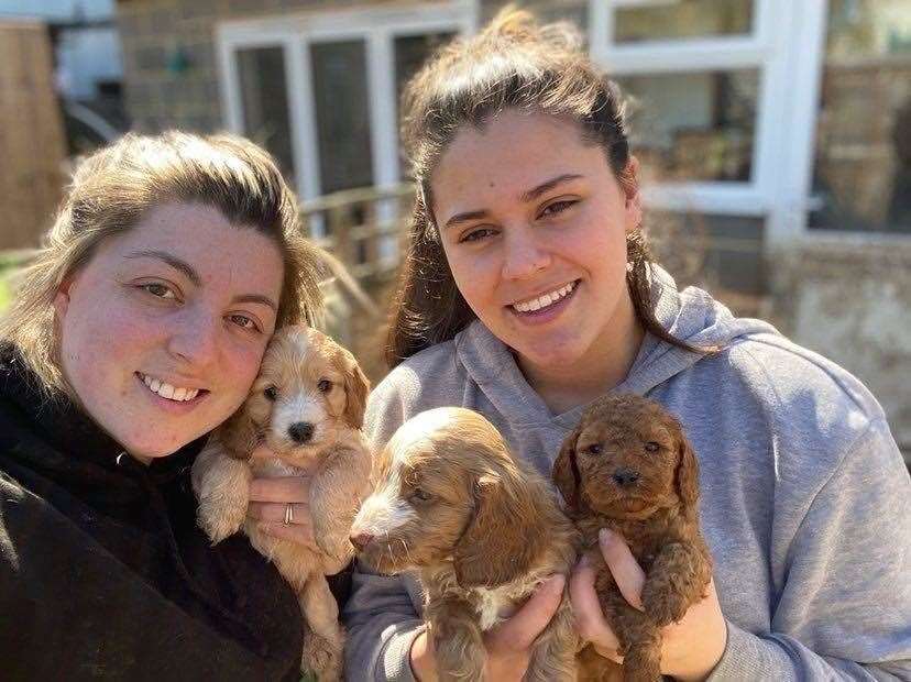 Amii Thatcher and Chloe Shailer who run Deal Doodles say the puppies made each day in isolation a little easier