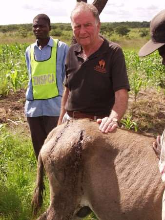 Help at hand - Roger Gale in Zimbabwe