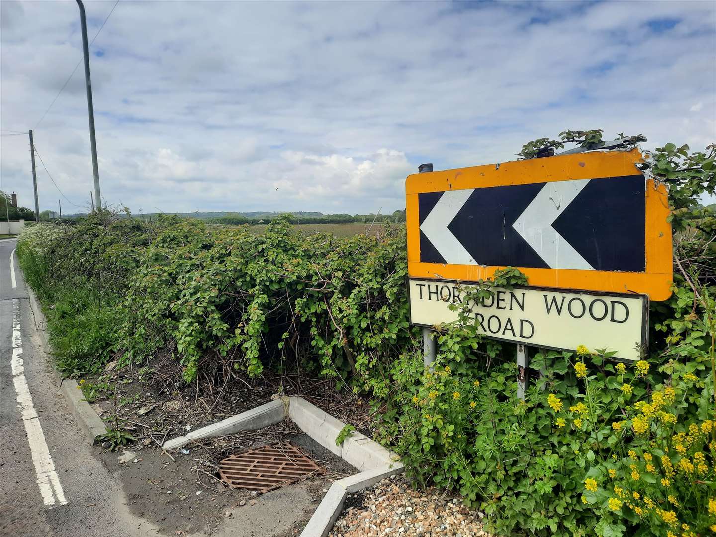 It has been revealed that developers are eyeing up land to the west of Thornden Wood Road in Herne Bay