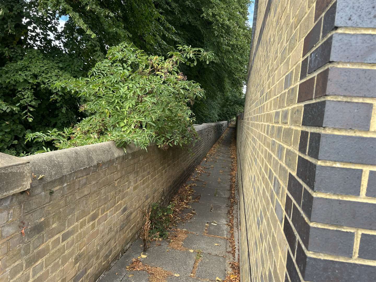 The alleyway running between the rear of Layfield Road and Gillingham Green