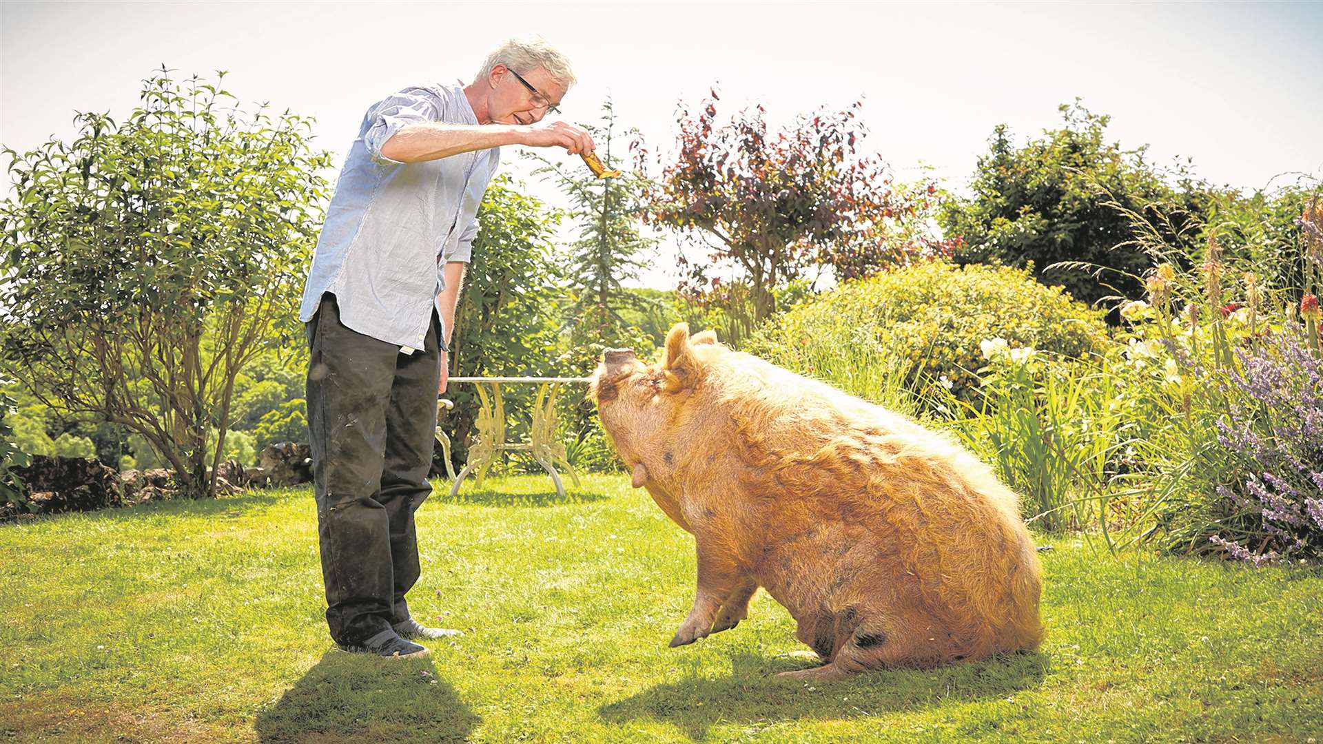 Paul O'Grady with his pig Picture: Nicky Johnston/PA