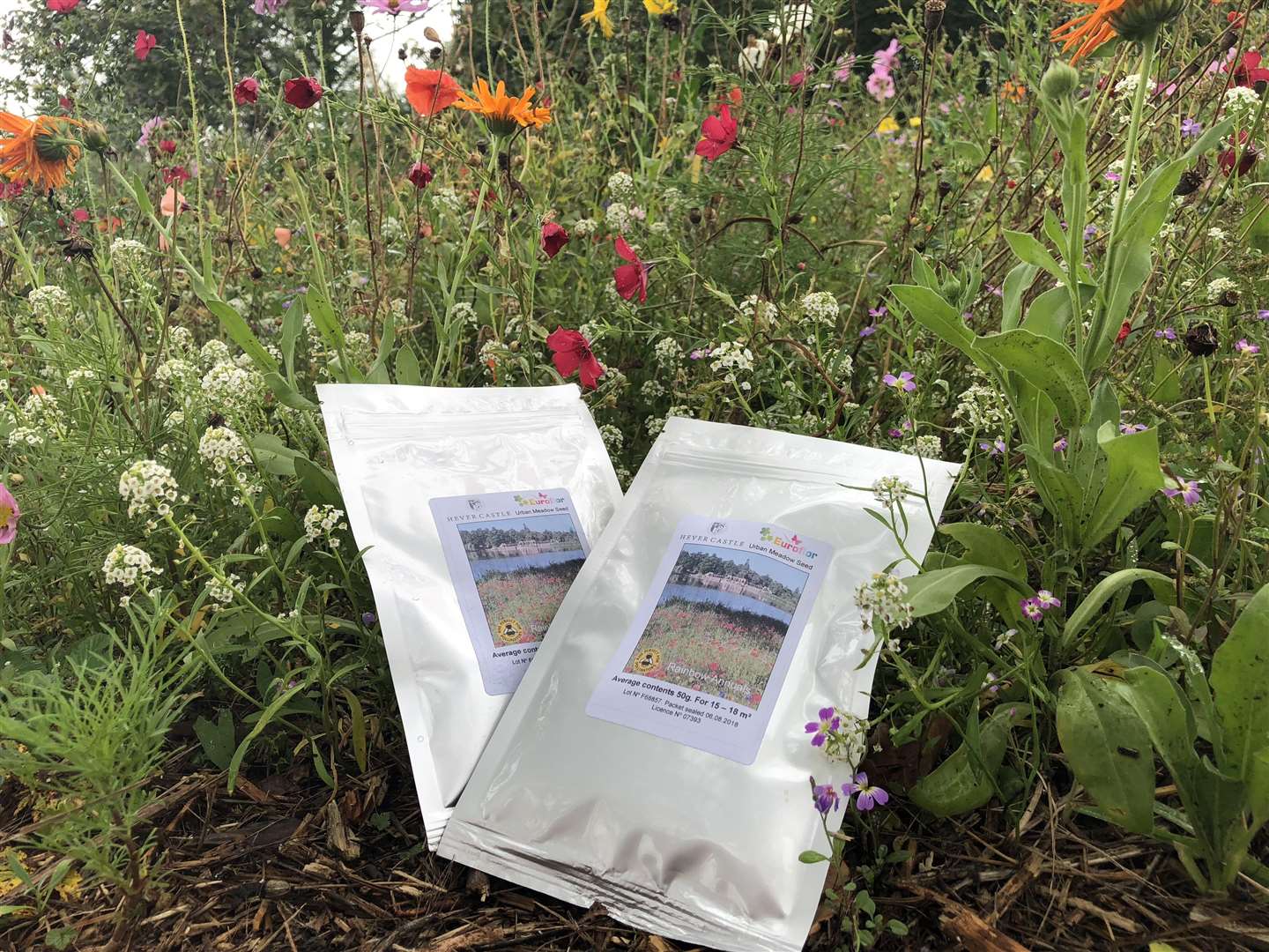 Seed mixes are available from the courtyard shop