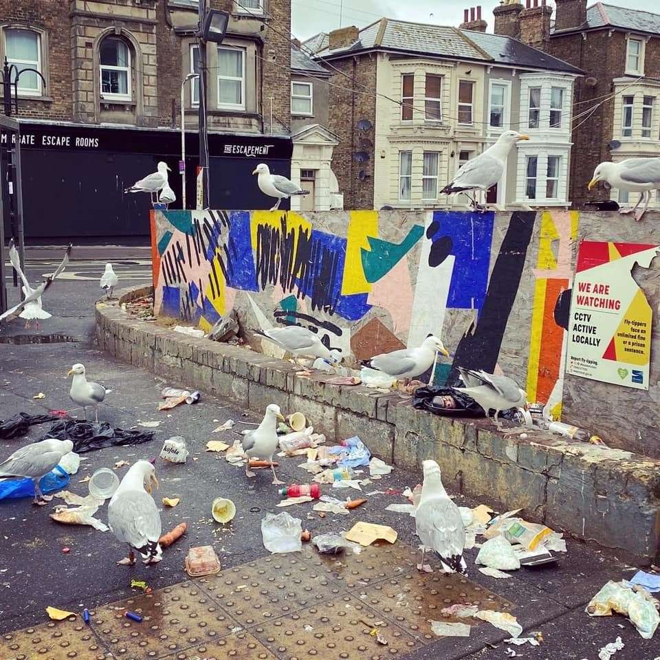 Seagulls feasting on rubbish strewn across Cliftonville. Picture: Friends of Cliftonville Coastline