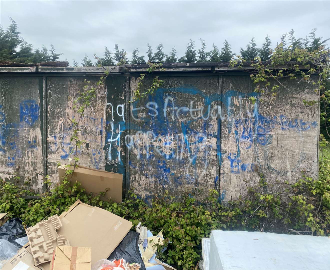 One vandal asks ‘What’s actually happening?’ – a very good question