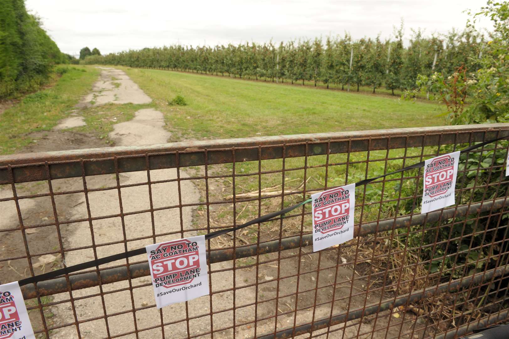 A campaing group was set up to try and stop the development in the orchards in Rainham. Picture: Steve Crispe