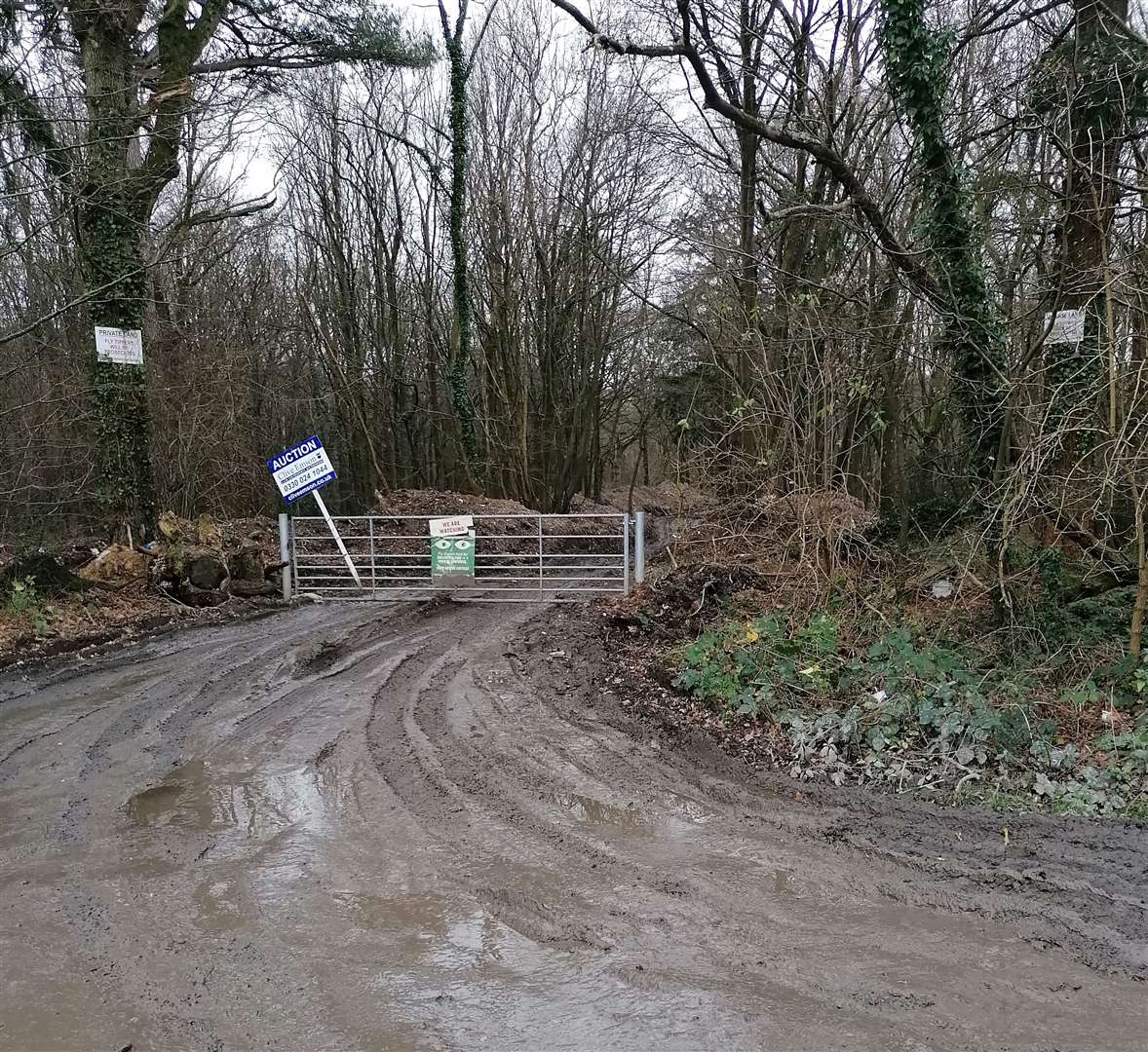 The Environment Agency has now closed off the woodland
