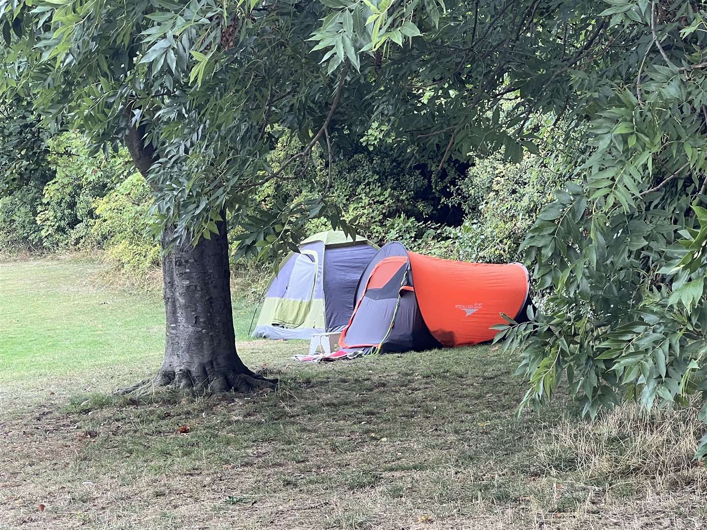 Tents on a field in Rochester. Picture: Megan Carr