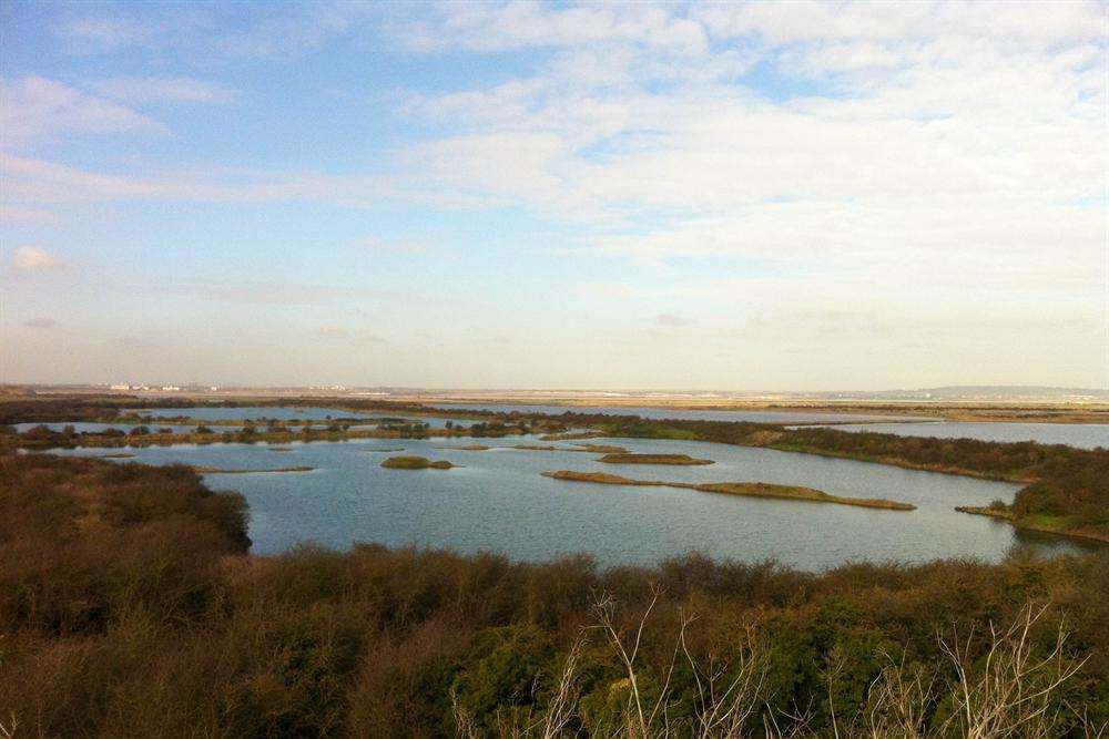 The bird is nesting at Cliffe Pools. Picture: Will McInerney